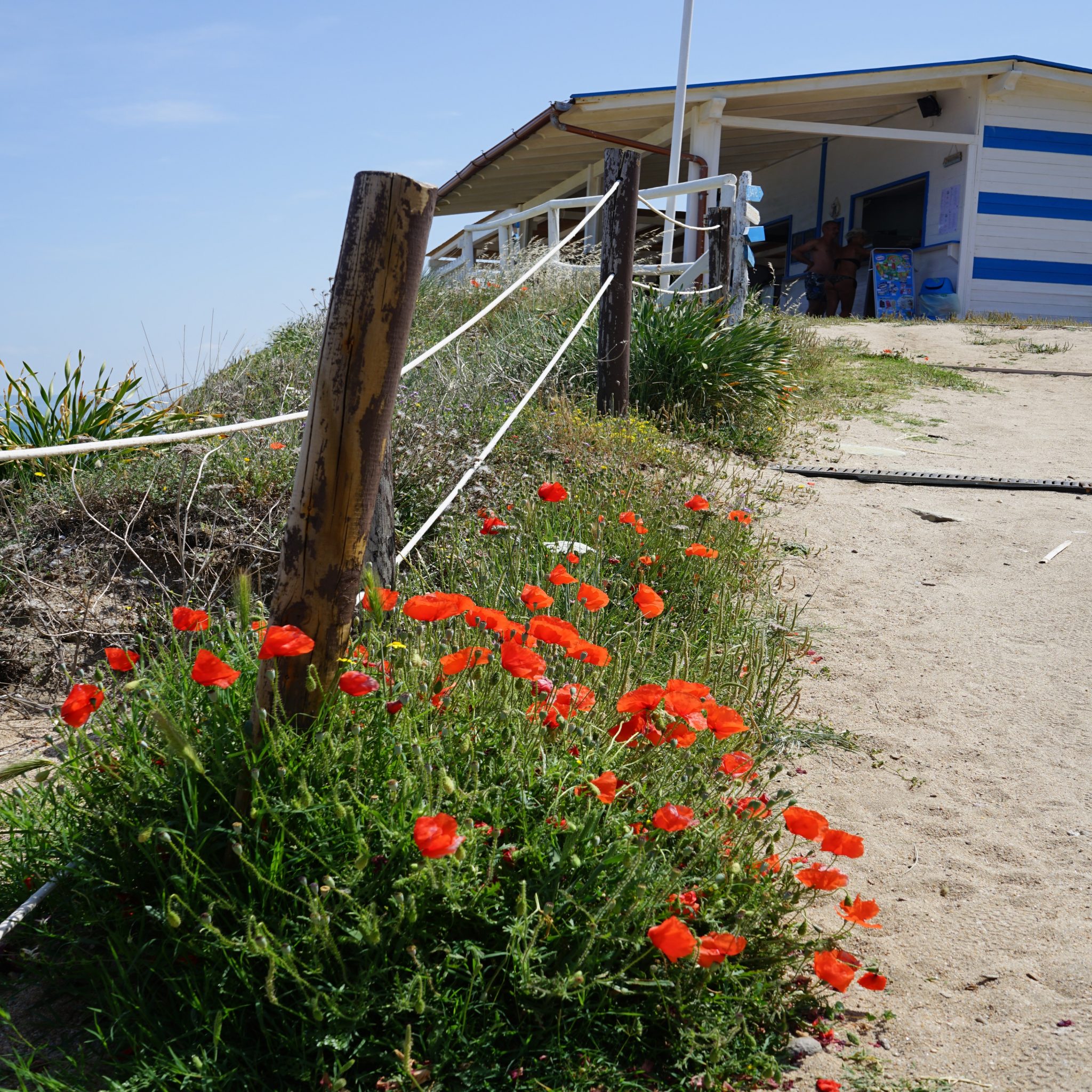 BeachNatura